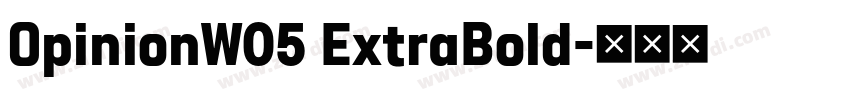 OpinionW05 ExtraBold字体转换 OpinionW05 ExtraBold字体转换